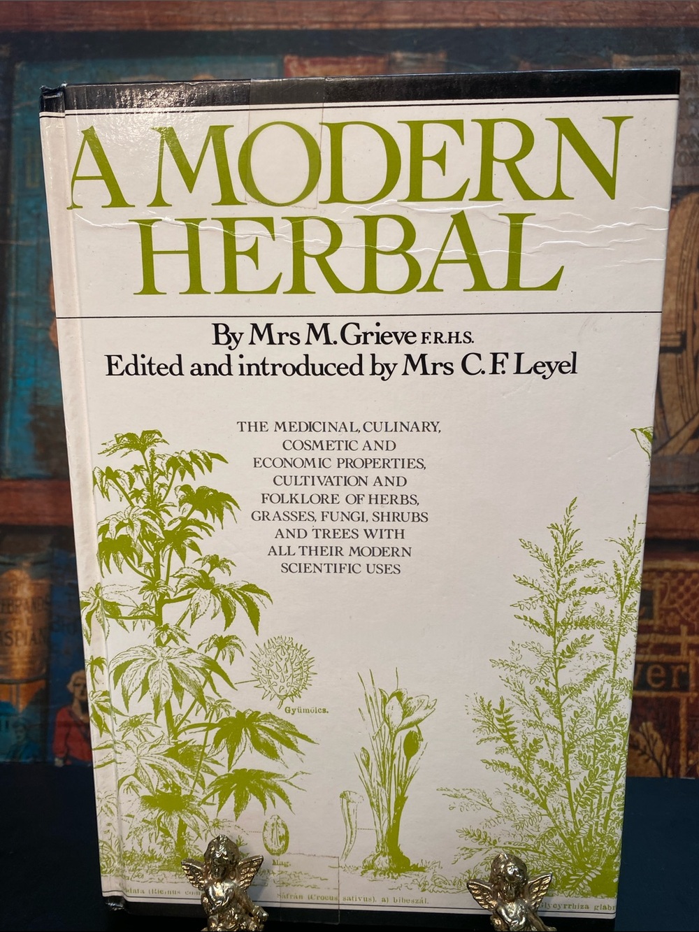 RARE BOOK - A MODERN HERBAL by Mrs M. Grieve 900 pages